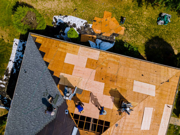 Best Shingle Roofing Installation  in Logan, IA