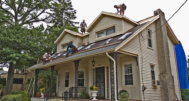 Best Storm Damage Roof Repair  in Logan, IA
