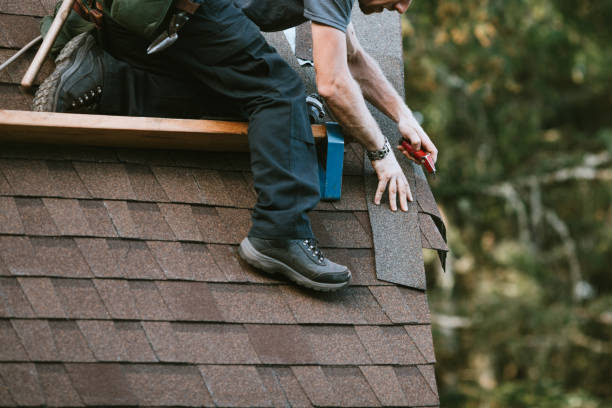 Best Roof Gutter Cleaning  in Logan, IA